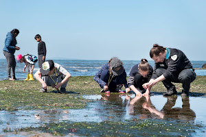 Point Cook Coastal Park