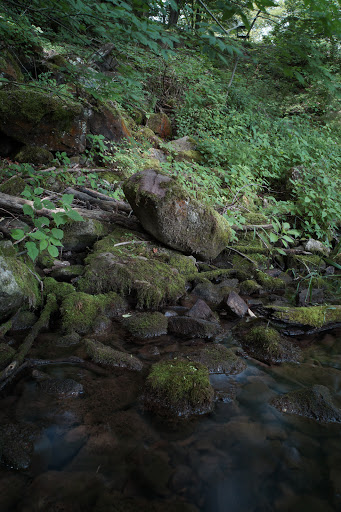 Clarendon Falls image 5