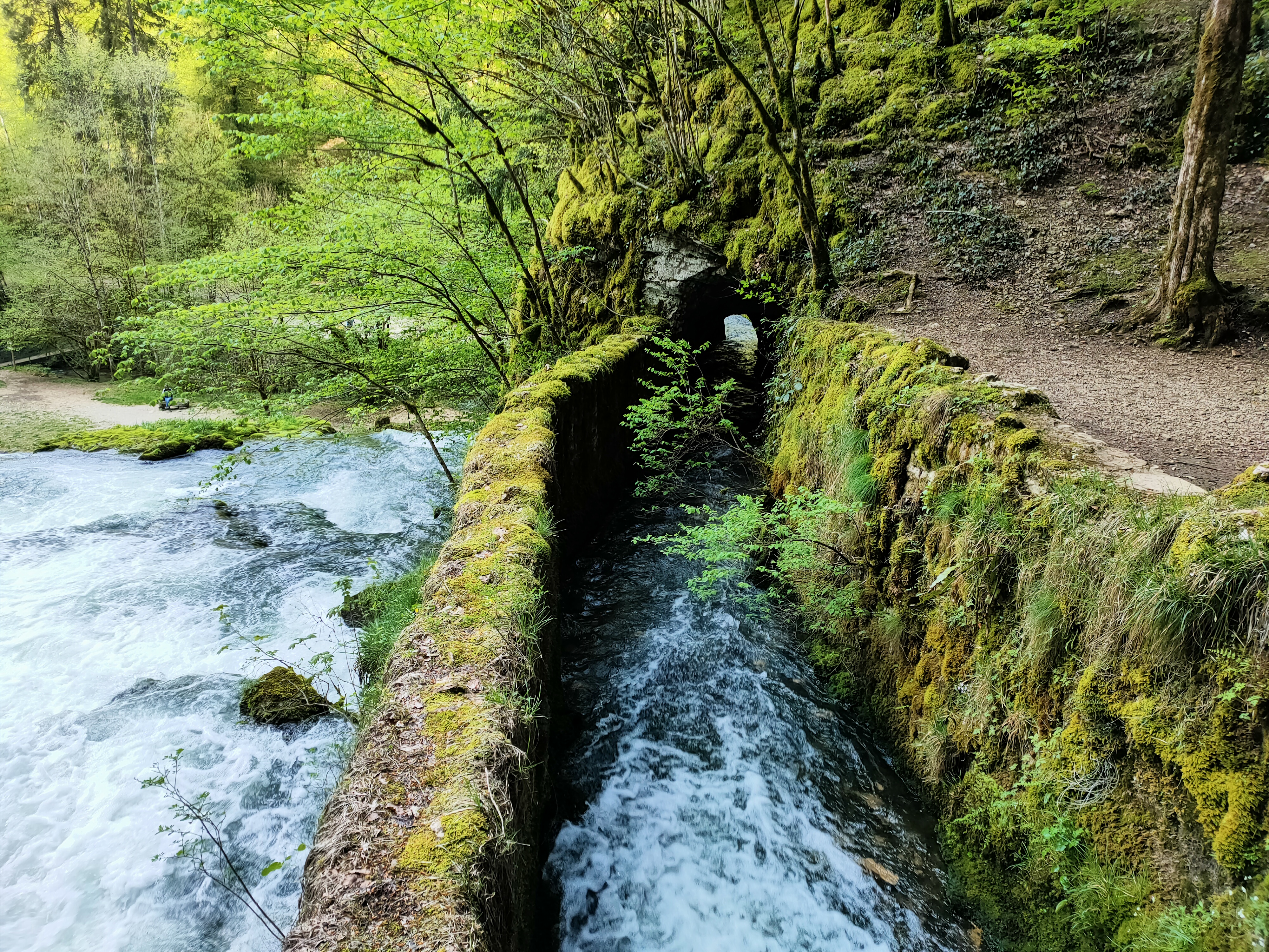 Photo n° 1 de l'avis de Tchov. fait le 29/04/2023 à 17:37