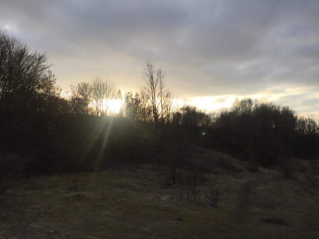 Photo n° 2 de l'avis de Constance.o fait le 04/03/2019 à 21:00