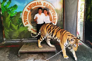 LYGER ANIMAL SANCTUARY (Tiger Holding Facility) image