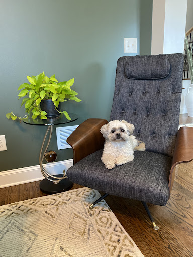 Fabric Store «Decorating Mart», reviews and photos, 2932 Canton Rd, Marietta, GA 30066, USA