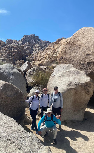 Mojave Guides - Joshua Tree Rock Climbing Guides image