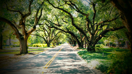 Aiken Concrete Contractor