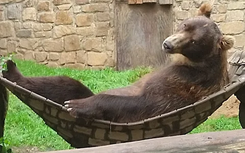 Děčín Zoo image