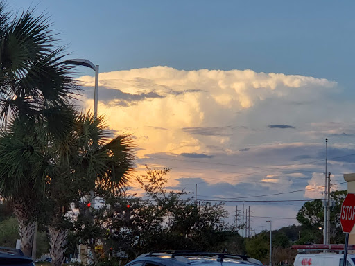 Shopping Mall «Tarpon Mall», reviews and photos, 40952 US-19, Tarpon Springs, FL 34689, USA