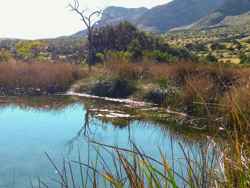 National Park «Guadalupe Mountains National Park», reviews and photos