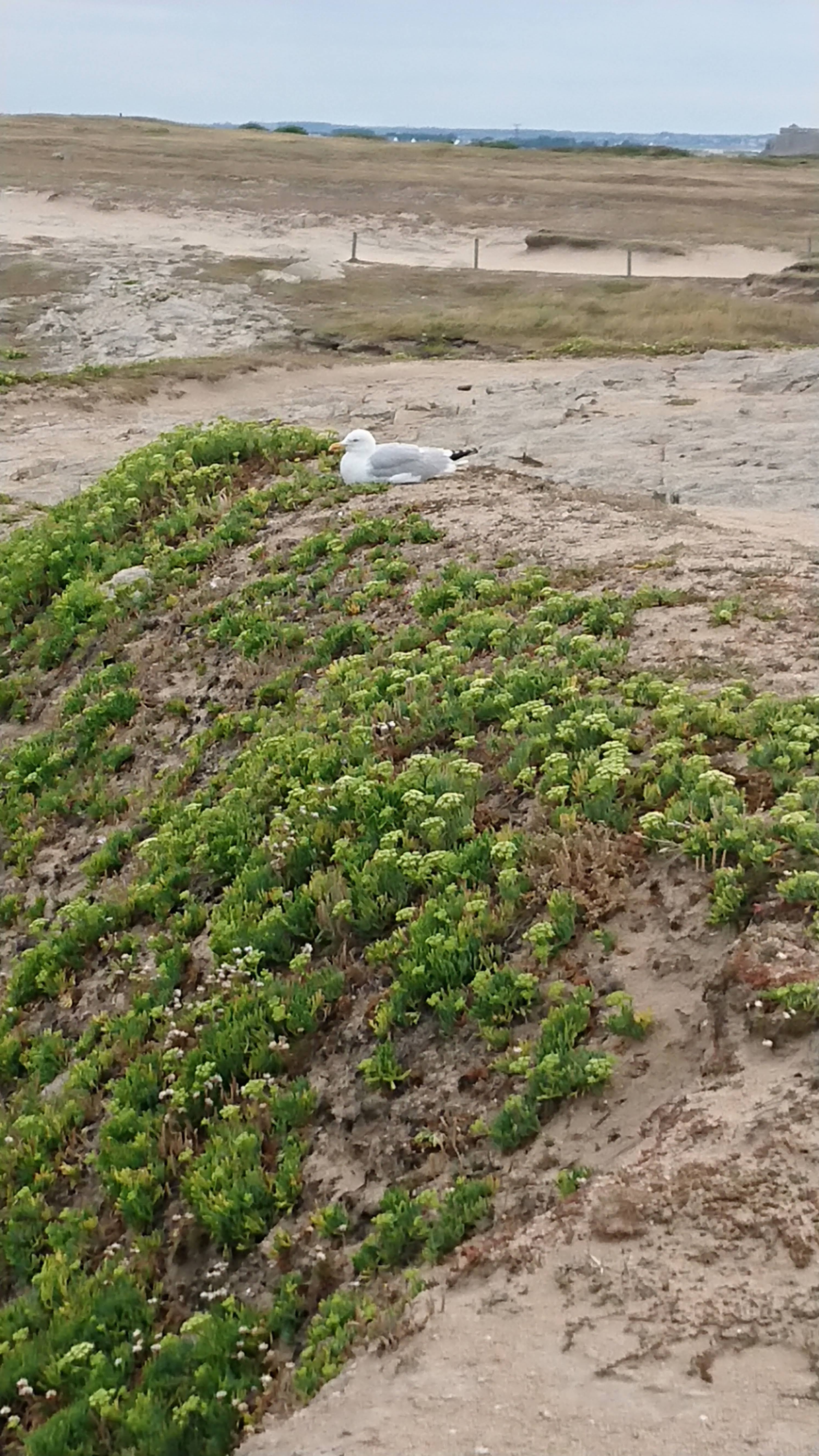 Photo n° 15 de l'avis de Aléane.T fait le 03/08/2022 à 17:01