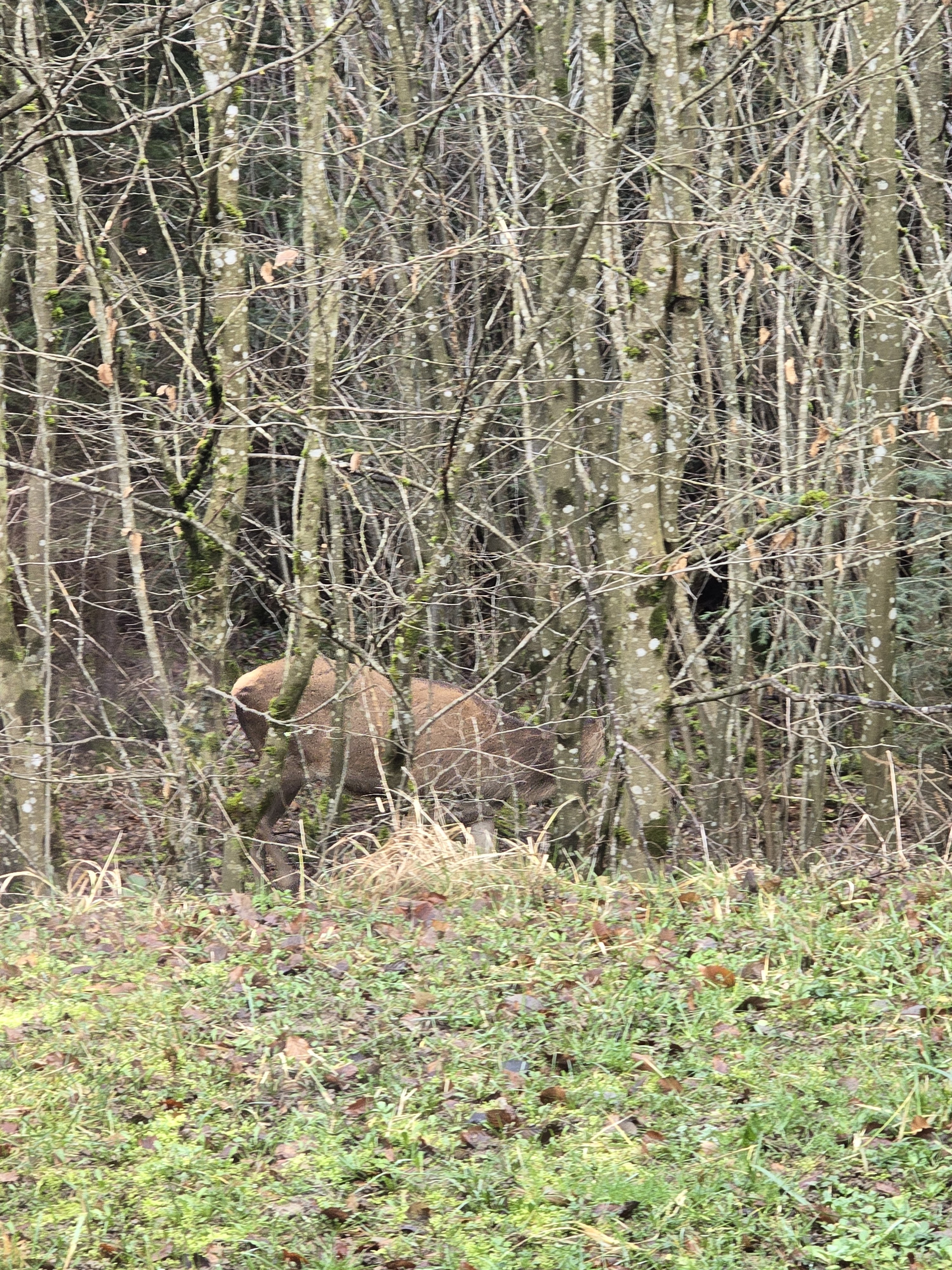 Photo n° 2 de l'avis de Tom.a fait le 15/02/2024 à 16:09