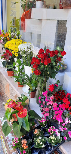 Fototekin Çiçekçilik Güllük