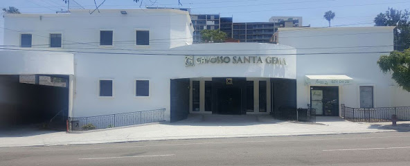 Gayosso | Santa Gema