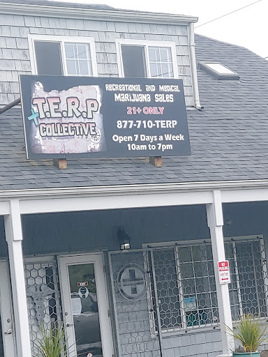 T.E.R.P Collective INC