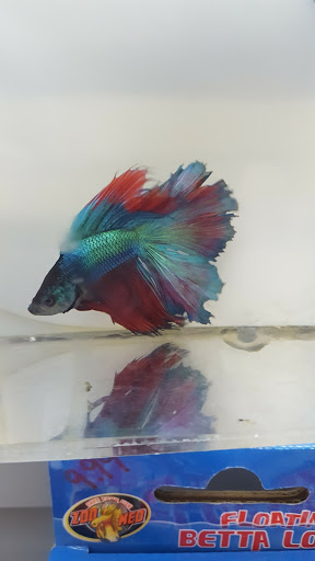 Pet Store «Mike Pet Center LLC», reviews and photos, 133 NJ-35, Neptune City, NJ 07753, USA