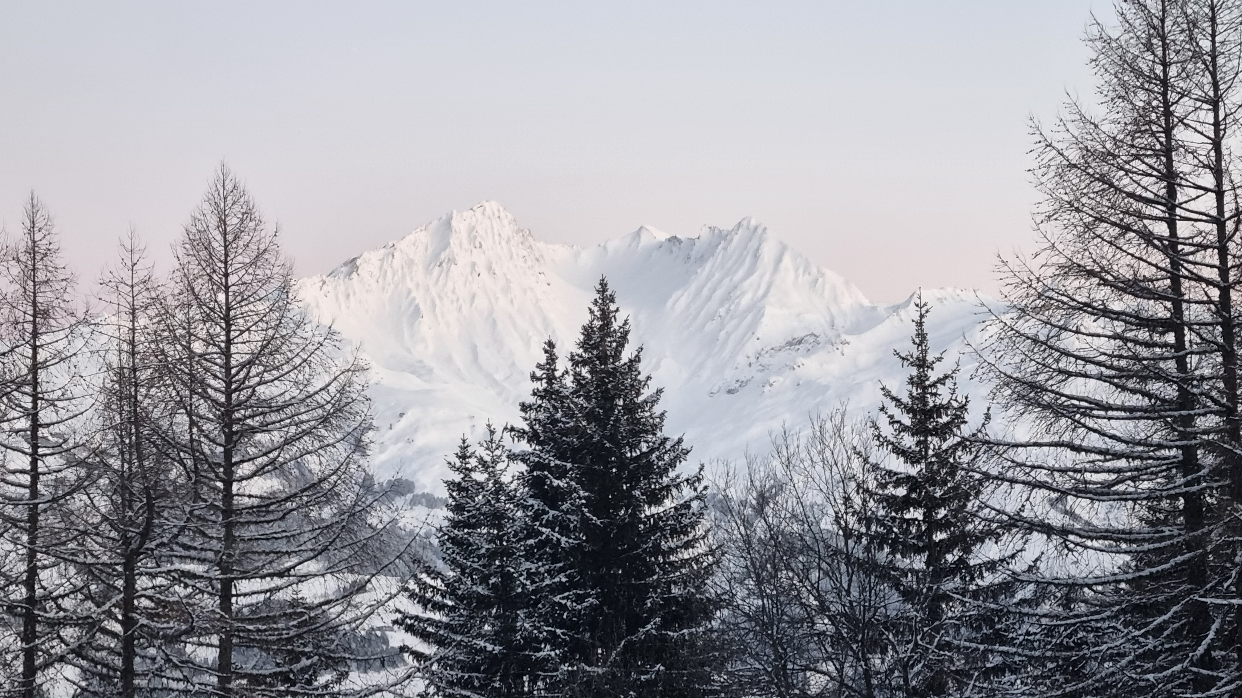Photo n° 3 de l'avis de Frans.a fait le 21/04/2022 à 18:43