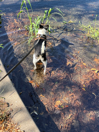 Park «Iris Park», reviews and photos, 1885 University Ave W, St Paul, MN 55104, USA