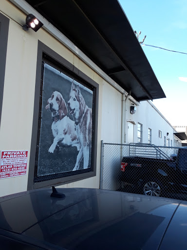 Laundromat «BayView Plaza Launderland», reviews and photos, 3801 3rd St, San Francisco, CA 94124, USA