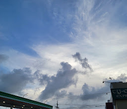 Flamingo Plaza Shopping Mall photo