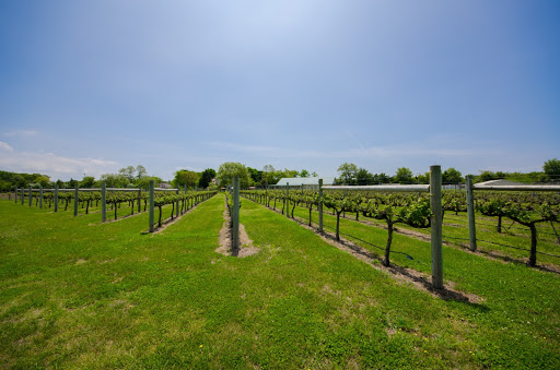 Winery «Jessie Creek Winery», reviews and photos, 1 N Delsea Dr, Cape May Court House, NJ 08210, USA