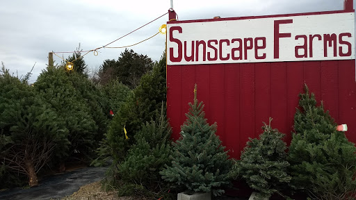 Produce Market «Sunscape Farms», reviews and photos, 1420 Creek St, Rochester, NY 14625, USA
