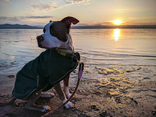 Park «Folsom Lake Park», reviews and photos, Douglas Blvd, Roseville, CA 95746, USA