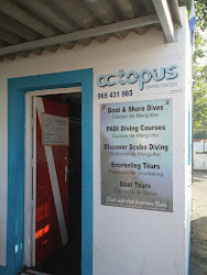 Loja de artigos de mergulho Octopus Diving Center Praia da Vitória