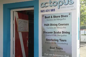 Octopus Diving Center image