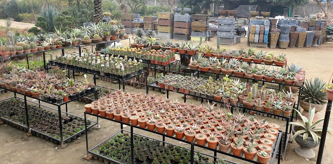 Ajmal Garden Nursery