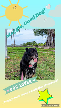 Good Dog! Dog Walking and Pet Sitting - Photo 8 - Car repair in Lantana, FL, West Palm Beach