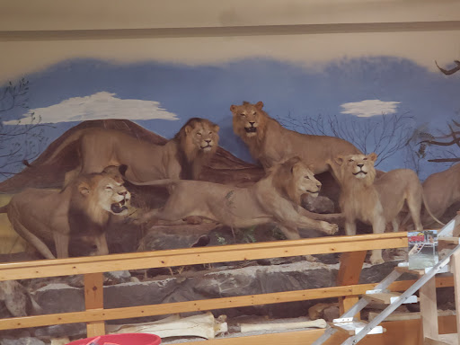 Sporting Goods Store «Midwestern Shooters Supply», reviews and photos, 191 Church St, Lomira, WI 53048, USA