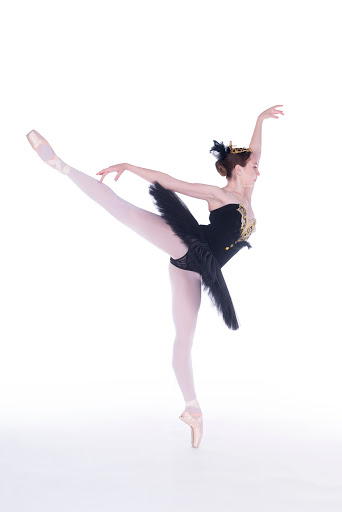 Dance School «International Dance Academy», reviews and photos, 825 Shotgun Rd, Sunrise, FL 33326, USA