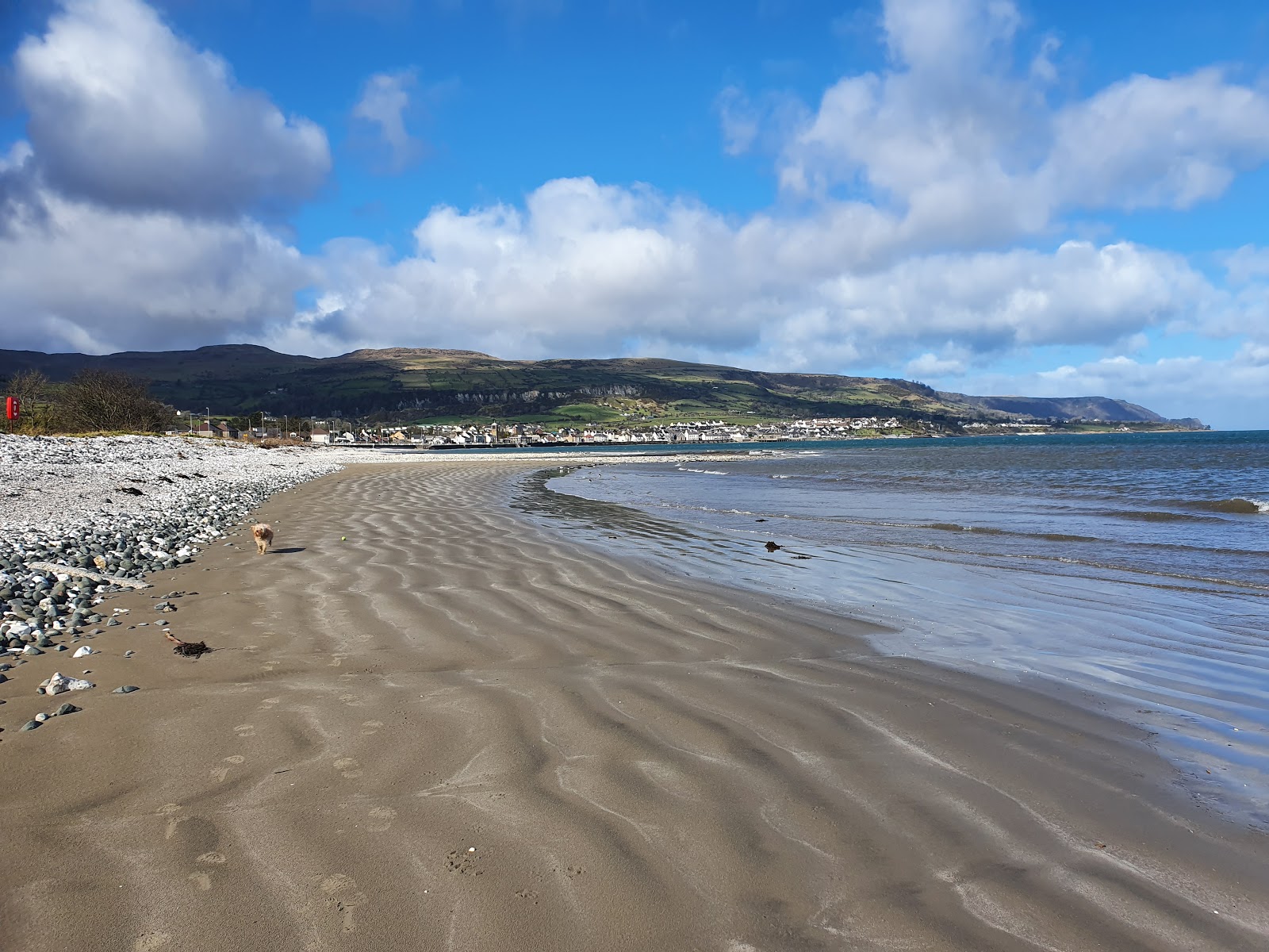 Carnlough Beach的照片 带有棕色沙和岩石表面