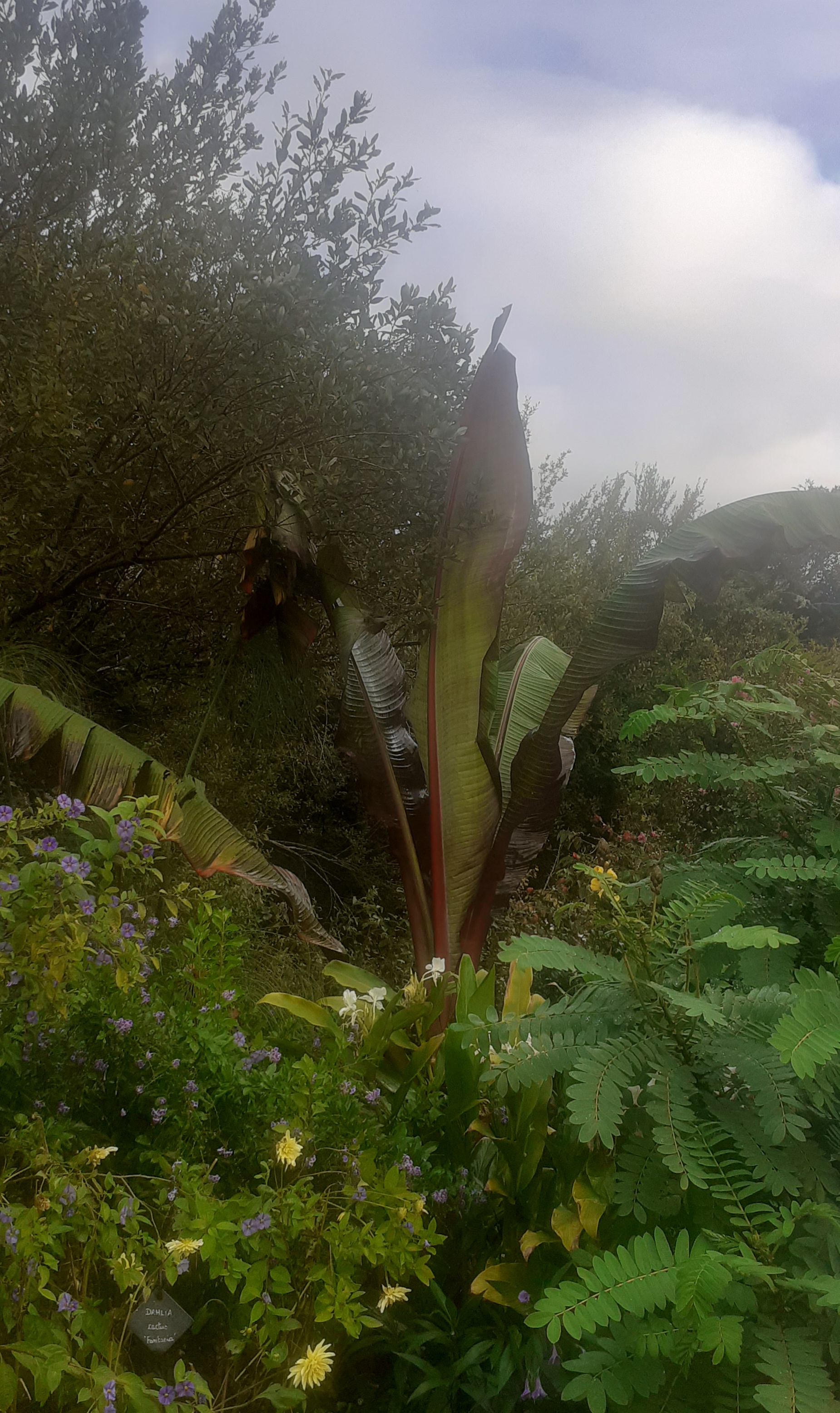 Photo n° 5 de l'avis de ghislaine.u fait le 29/09/2023 à 14:19