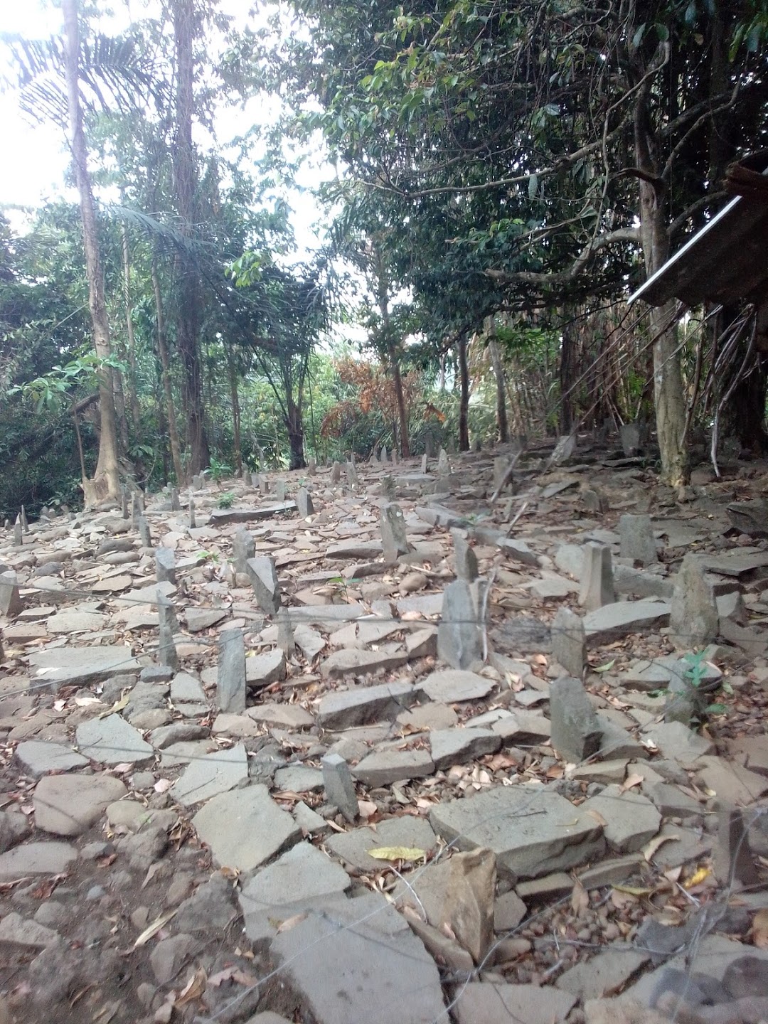 Gunung Gede Tasikmalaya