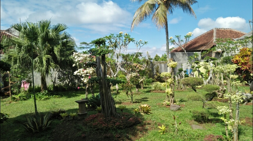 ANGGUN DANAPATI DAKARA