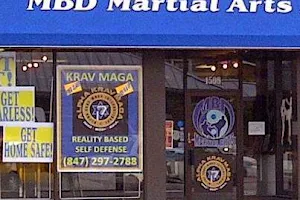MBD Martial Arts Academy image