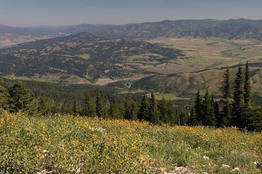 Chestnut Mountain Trailhead, Chestnut Mountain Trail, Bozeman, MT 59715