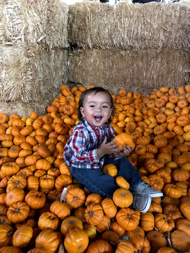 Buick Dealer «AutoNation Buick GMC Henderson», reviews and photos, 330 Old Gibson Rd, Henderson, NV 89014, USA