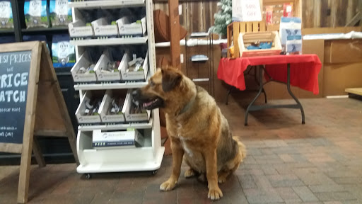 Pet Supply Store «Appalachian Tails Pet Company», reviews and photos, 119 Griswold St, Glastonbury, CT 06033, USA