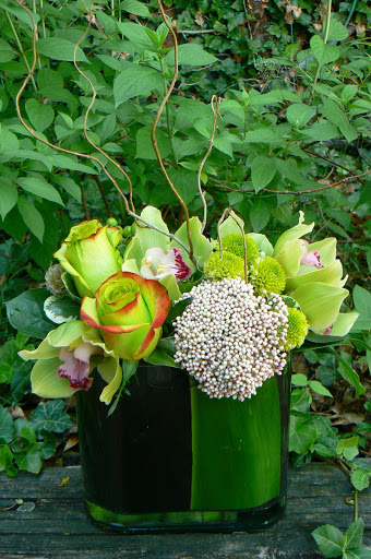 Florist «Tiffany Florist», reviews and photos, 784 S Old Woodward Ave, Birmingham, MI 48009, USA