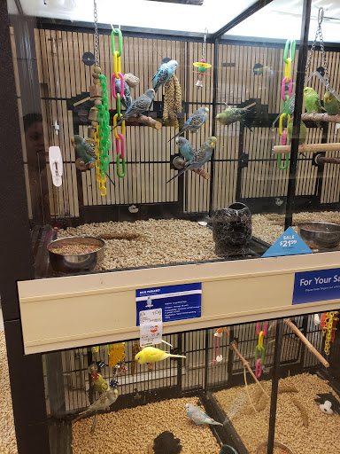 Pet Supply Store «PetSmart», reviews and photos, 367 Mt Hope Ave, Rockaway, NJ 07866, USA