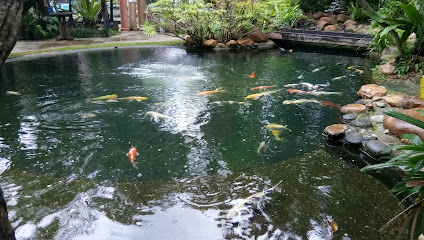 Tropicana Aquatic & Water Garden