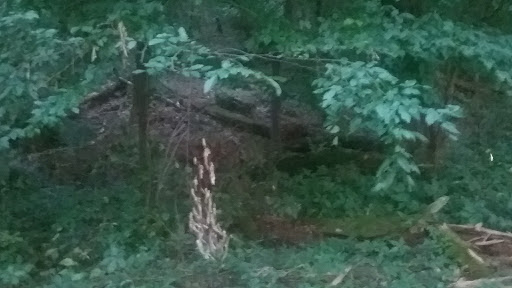 Park «Boyle Park», reviews and photos, 2000 Boyle Park Rd, Little Rock, AR 72204, USA