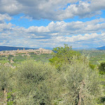 Photo n°1 de l'avis de Nicola.a fait le 25/04/2023 à 17:04 sur le  Agriturismo Buonasera à Bagnoregio