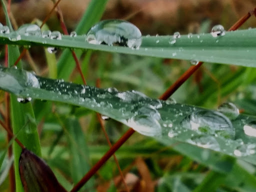 Private Golf Course «Chester Valley Golf Course», reviews and photos, 430 W Swedesford Rd, Malvern, PA 19355, USA