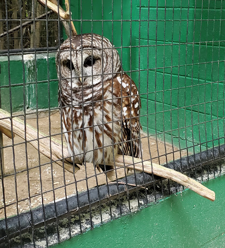 Zoo «Kentucky Down Under Adventure Zoo», reviews and photos, 3700 L and N Turnpike Rd, Horse Cave, KY 42749, USA