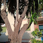 Photo n°1 de l'avis de Giuseppe.o fait le 01/05/2022 à 11:47 sur le  Oasi à Finale Ligure