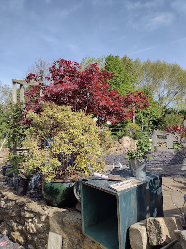 Convenience Store «Walgreens», reviews and photos, 1802 Main St, Chester, MD 21619, USA