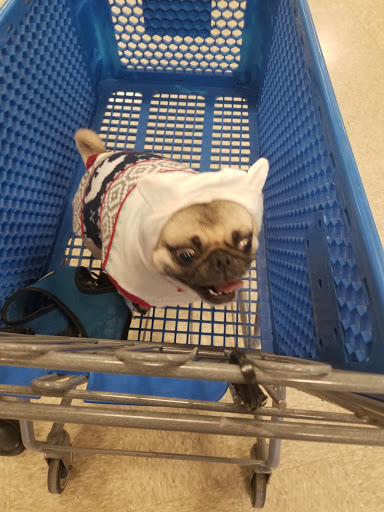 Pet Supply Store «PetSmart», reviews and photos, 263 Midway Blvd, Elyria, OH 44035, USA
