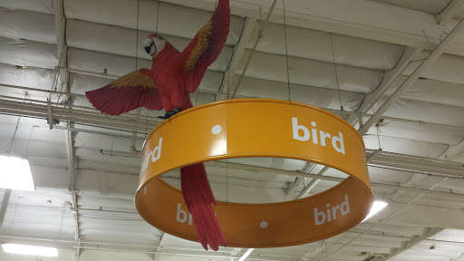 Pet Supply Store «PetSmart», reviews and photos, 4100 Ming Ave, Bakersfield, CA 93309, USA