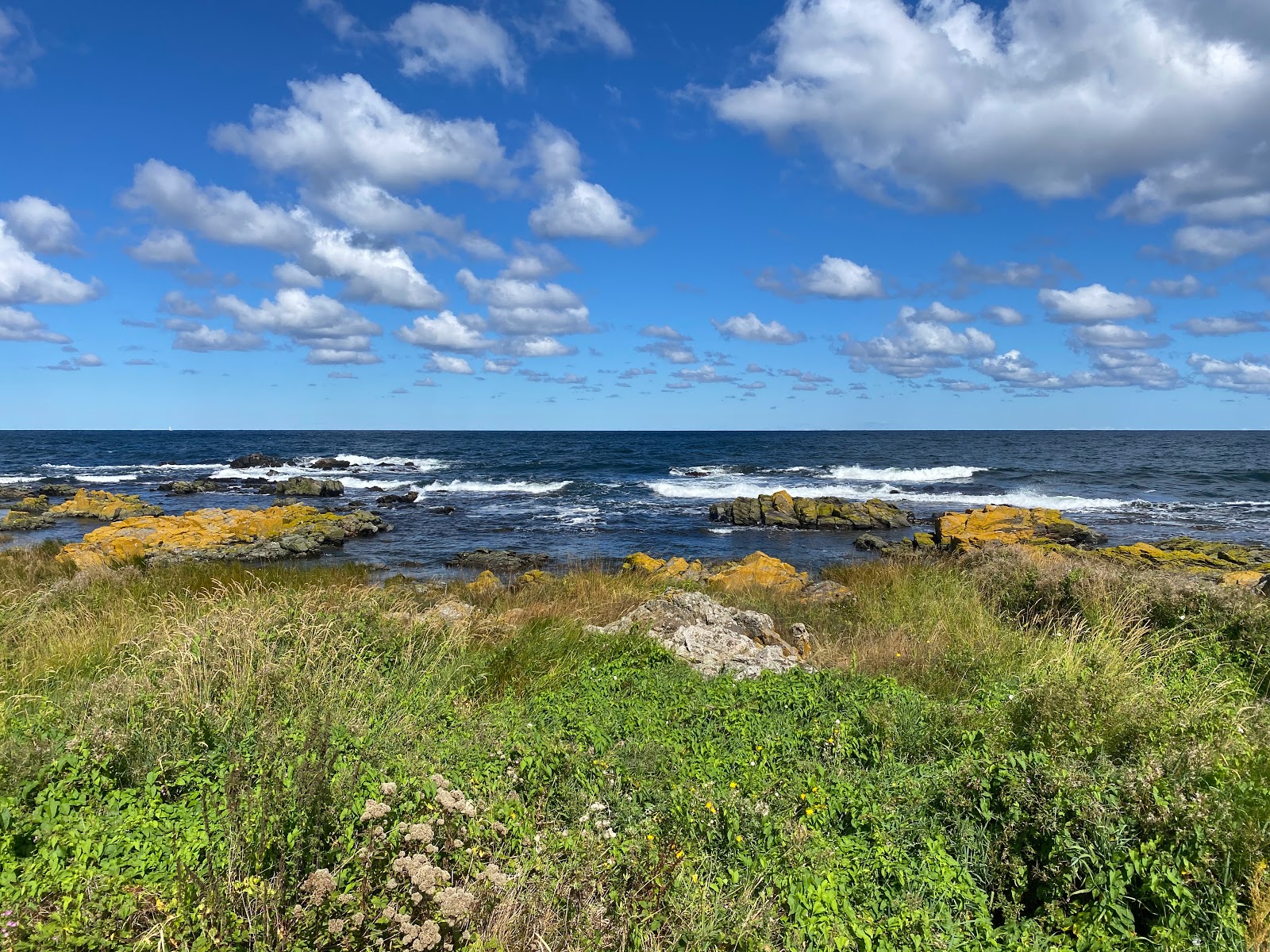 Bolshavn Havn Beach photo #8